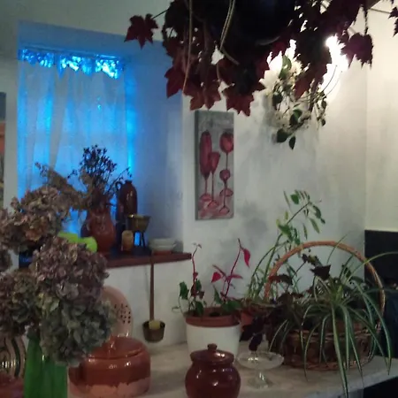 Rural Casa Roja 카다베도