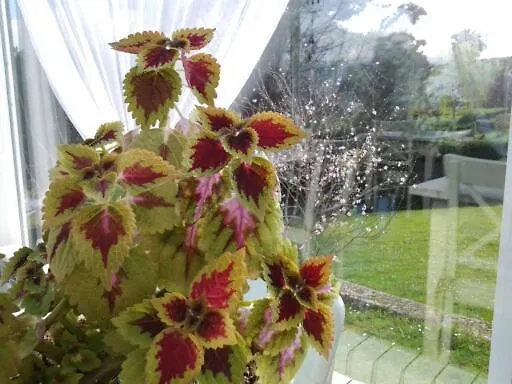 Rural Casa Roja Cadavedo