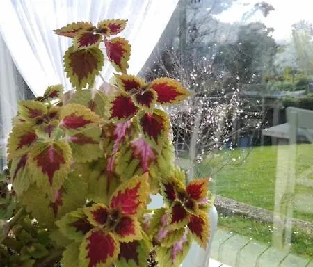 Rural Casa Roja Cadavedo