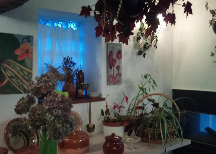 红屋乡村酒店 卡达韦多